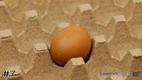Egg#7