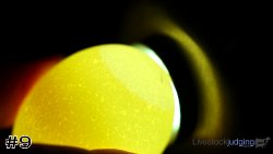 Egg#9