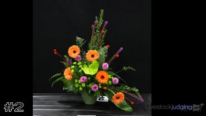 Class #3 Floral Design thumbnail