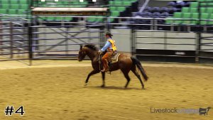 Class #4 Western Horsemanship thumbnail
