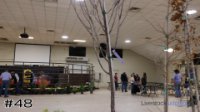 Plant #48