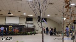Plant #48