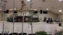 Plant #51