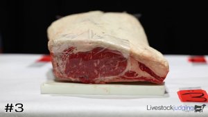 Class #4 Beef Ribs thumbnail