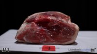 Ham#1