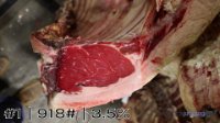 Carcass#1