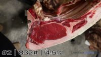 Carcass#2