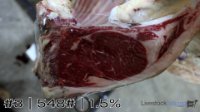 Carcass#3