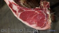 Carcass#4