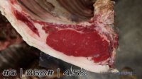 Carcass#6