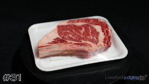 Class #11 Meat ID thumbnail