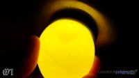 Egg #1