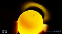 Egg #2