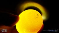 Egg #3