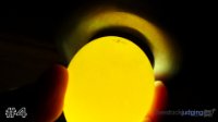 Egg #4