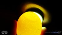 Egg #5