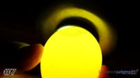Egg #7