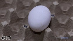 Egg #10