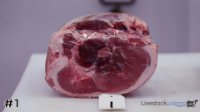 Ham #1
