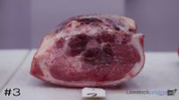 Ham #3