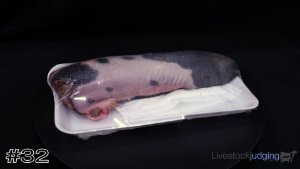 Class #11 Meat ID thumbnail