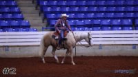 Horse #2