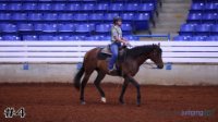 Horse #4