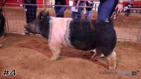 Texas Tech #18