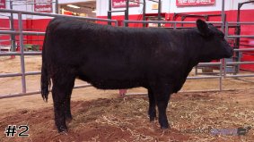 Texas Tech #5