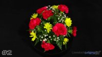 Arrangement#2