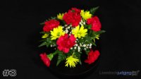 Arrangement#3