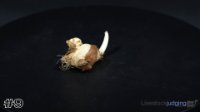 Piece #9