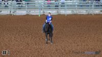Horse #1