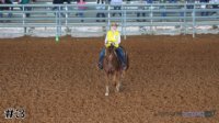 Horse #3