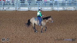 Class #5 Reining thumbnail