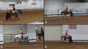 Class #6 Hunter Under Saddle thumbnail